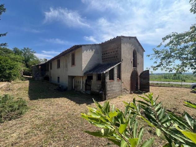Colonica in vendita a Buti 489 mq Rif: 1331666 - Foto 10