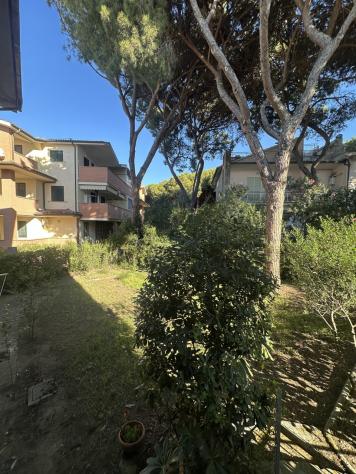 Indipendente in vendita a Grosseto - Foto 14