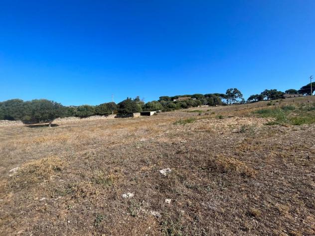 Annesso agricolo in vendita a Luogosanto 22800 mq Rif: 1348054 - Foto 4