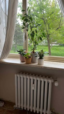 Room in Corso Canonico Giuseppe Allamano, Torino for 120 m² with 4 bedrooms - Foto 4