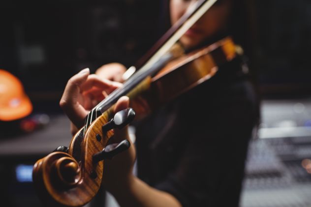 Violinista  classica