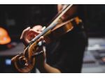 Violinista  classica