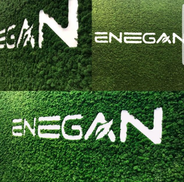 ENEGAN SPA RICERCA AGENTI COMMERCIALI MANTOVA - Foto 4