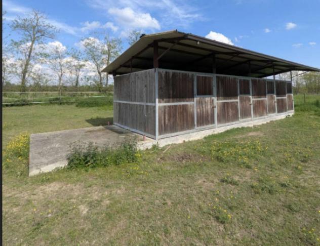Immobile in asta di 232 m² in vendita a Momo - Foto 11