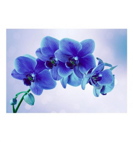 Fotomurale Adesivo Con I Fiori Blu ARREDALACASA - Foto 2