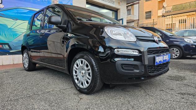 Fiat Panda 1.0 FireFly S&S Hybrid Pandina ICON KM0 REALE - Foto 3