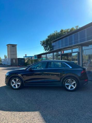 AUDI Q8 45 TDI quattro tiptronic rif. 24091879 - Foto 5