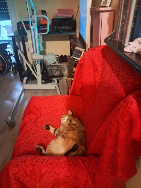 Offro lavoro a tempo indeterminato