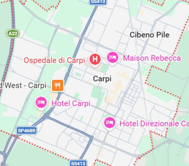 Immobile in asta di 23724 m² in vendita a Carpi - Foto 9