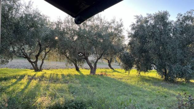 Cartoceto non lontano dal piccolo borgo medievale, in posizione elevata, dominante sull'intera vallata, facilmente raggiungibile dalle principali vie - Foto 7