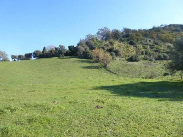 Immobile in asta di 6430 m² in vendita a Casignana - Foto 2