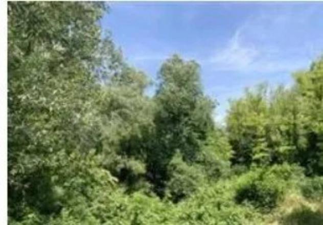 Immobile in asta di 10270 m² in vendita a Palazzolo dello Stella - Foto 4
