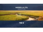 Immobile in asta di 5776 m² in vendita a Varisella