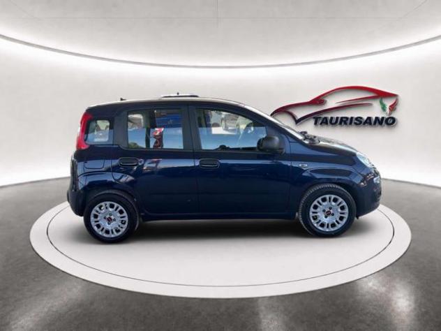 FIAT Panda 1.0 FireFly S&S Hybrid 6 Marce Euro 6D rif. 24199264 - Foto 3