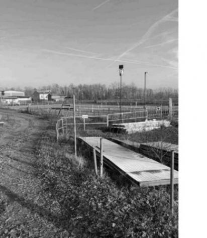 Immobile in asta di 13857 m² in vendita a Torre de' Negri - Foto 9