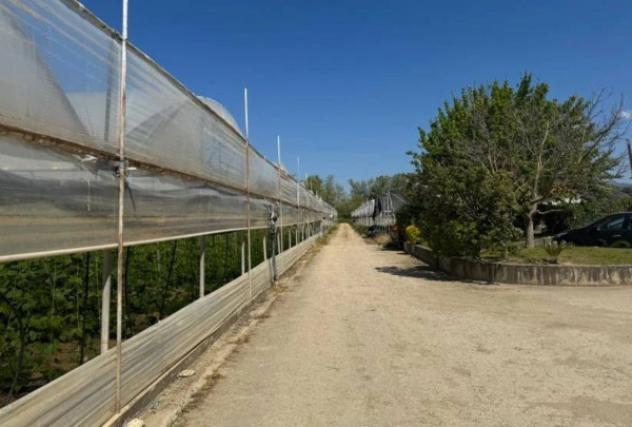 Immobile in asta di 22689 m² in vendita a Castelnuovo Cilento - Foto 3