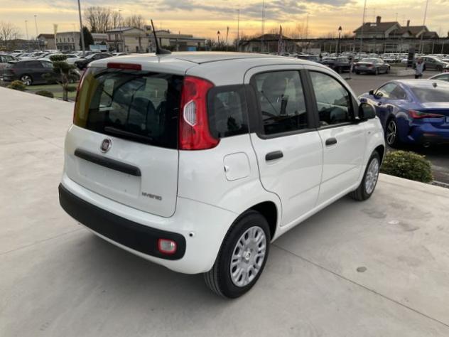 FIAT Panda 1.0 FireFly S&S Hybrid rif. 23757461 - Foto 6
