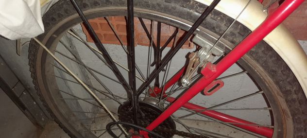 Bicicletta - Foto 2