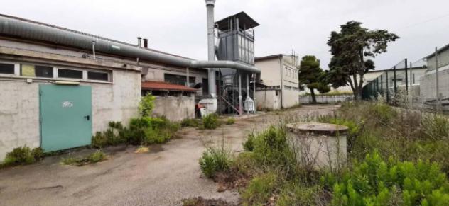 Immobile in asta di 7629 m² in vendita a Loreto - Foto 7