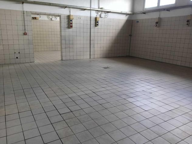 Laboratorio in affitto a Mezzana - San Giuliano Terme 215 mq Rif: 1361630