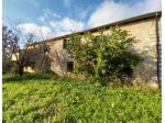 Campagna di Pietrasanta vendesi Cascina