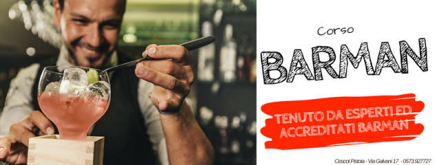Corso di Barman /Barladies "Il bere miscelato" - Foto 4