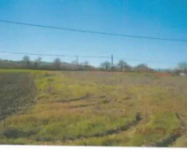 Immobile in asta di 13195 m² in vendita a Montelupone - Foto 6