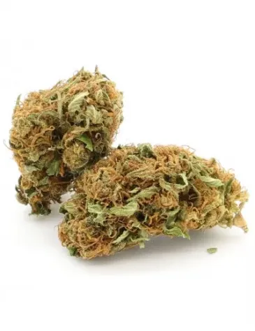 New York Diesel