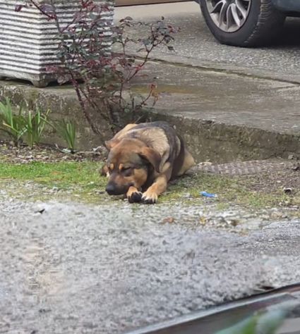 ROMEO 1 ANNO - Foto 4