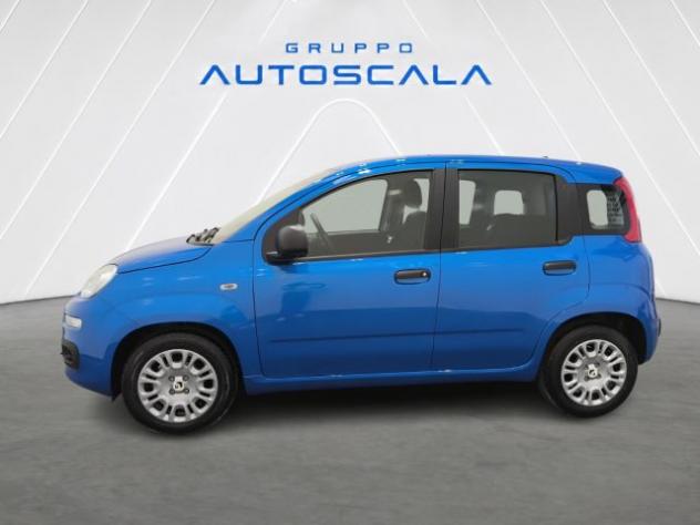 FIAT New Panda Pandina 1.0 FireFly 65 CV Hybrid Icon rif. 24157233 - Foto 7