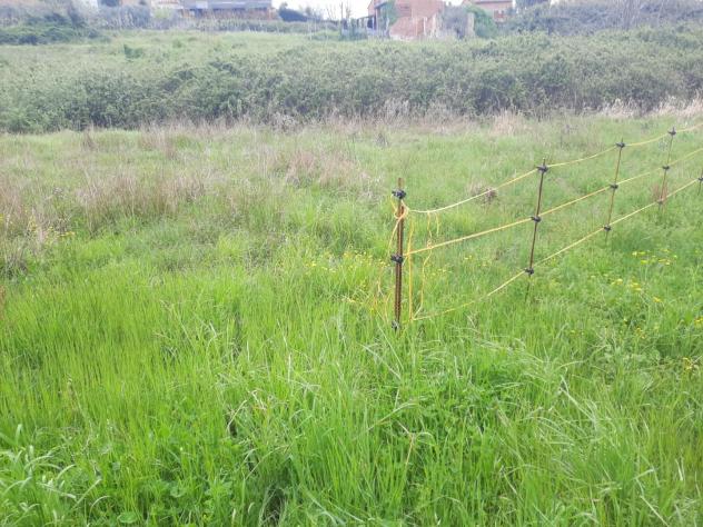 Fienile in vendita a San Ginese - Capannori 240 mq Rif: 1126940 - Foto 3