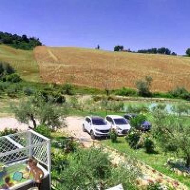 Azienda Agricola Rosina di Bonifati Rosa - Foto 2