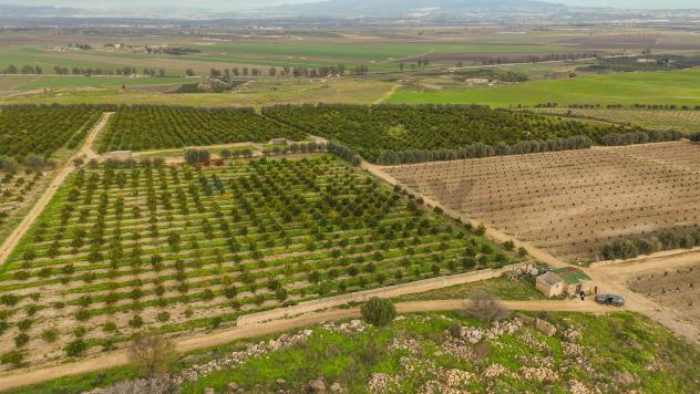 Terreno in vendita a Lentini - Foto 11