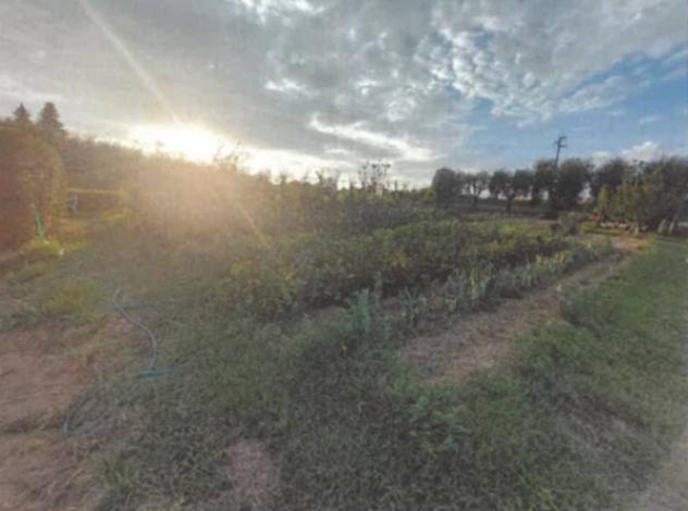 Immobile in asta di 1860 m² in vendita a San Miniato - Foto 5
