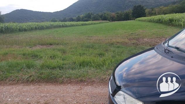 Terreno Agricolo in vendita a Val della Torre, Brione - Foto 3