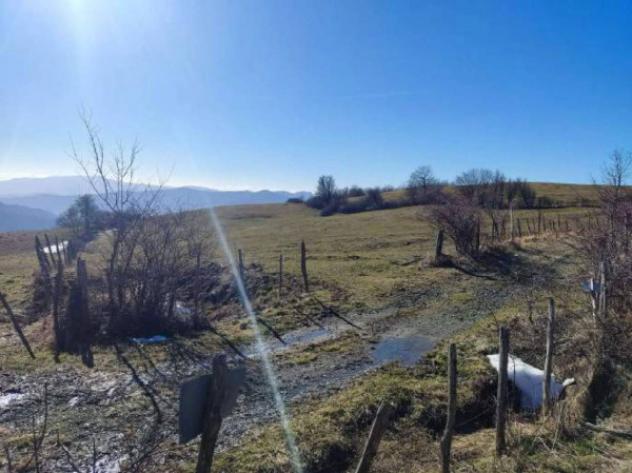 Immobile in asta di 130855 m² in vendita a Verghereto - Foto 5