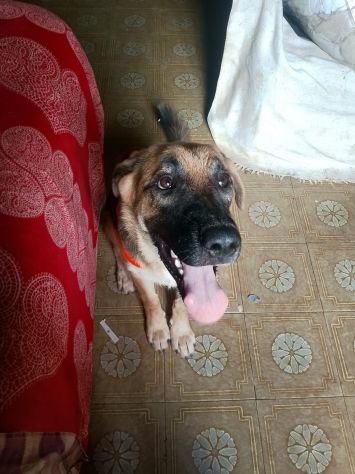 SARABY - Foto 2