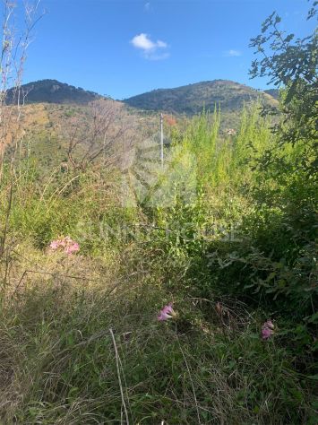 Terreno immerso nella natura con possibilità di costruzione vicino Cefalù - Foto 6