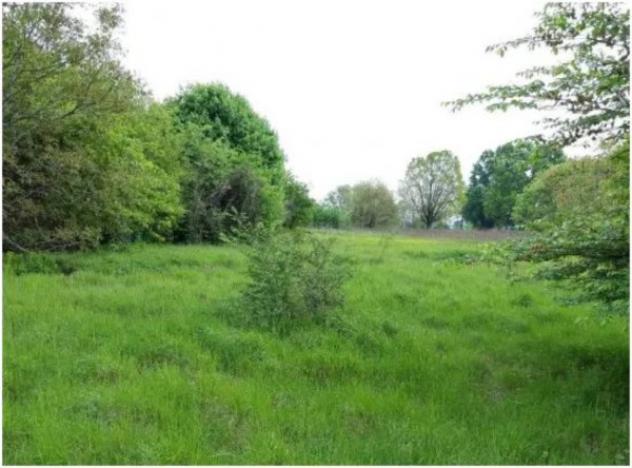 Immobile in asta di 13200 m² in vendita a Cremona - Foto 11