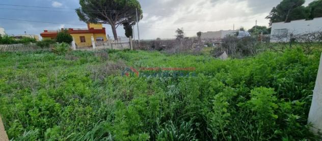NUBIA – Terreno edificabile di 1.200 mq ca. con immobile totalmente da ristrutturare. Euro 39 MILA - Foto 2