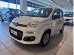 FIAT Panda 1.2 69cv E6 Easy