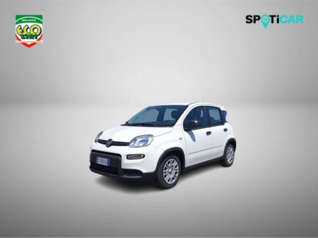 FIAT Panda 1.0 FireFly S&S Hybrid rif. 23820569