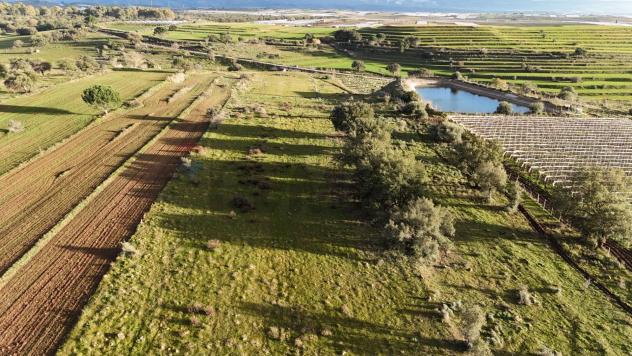 Terreno in vendita a Caltagirone - Foto 2