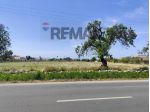 Terreno in vendita a Siracusa, Elorina