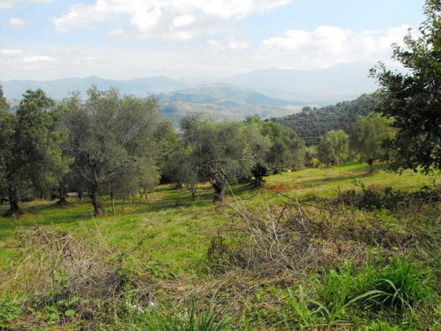Agricolo in Località Caselle - Foto 12