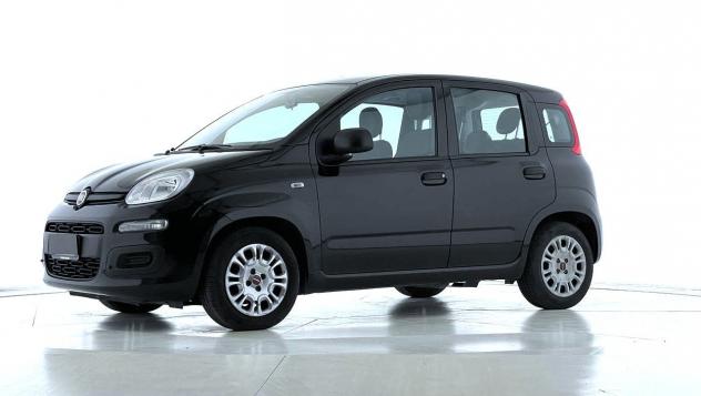 FIAT Panda Panda 1.0 FireFly S&S Hybrid - Foto 3
