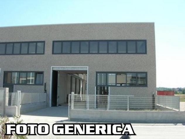 Magazzino in affitto a San Miniato Basso - San Miniato 260 mq  Rif: 1337007