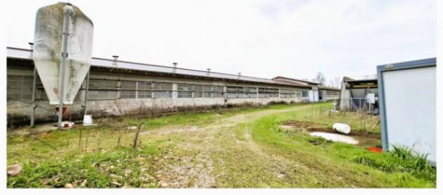 Immobile in asta di 35852 m² in vendita a Porpetto - Foto 6