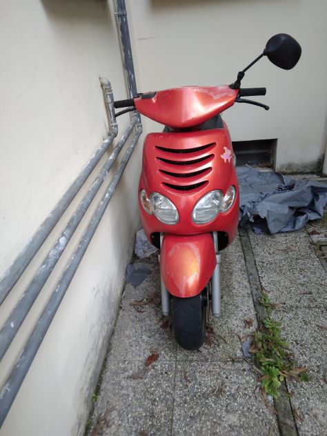 Vendo motore