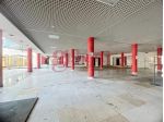 Struttura per uso commerciale in vendita a Pisa 670 mq  Rif: 1319566